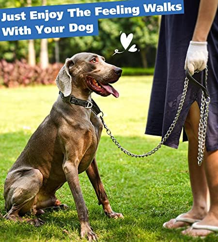 GONALULU TEAGHED PASH LEASH, 4ft/6ft Metalni kućni ljubimci s nehrđajućim čeličnim vezama i udobnom ručkom za pse srednje