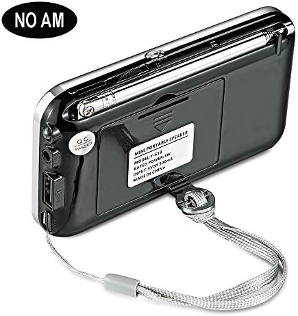 YMDJL prijenosni FM radio, mini digitalni radio glazbeni uređaj s podrškom za zvučnike Micro SD/TF karticu/USB, Auto Scan