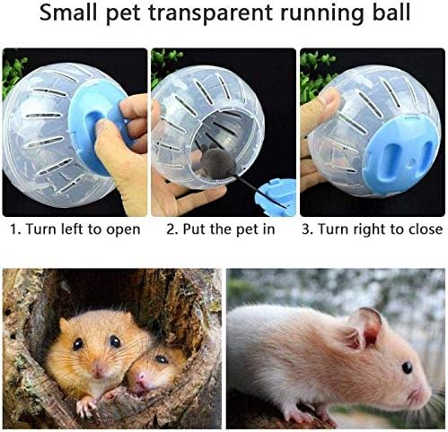 HAMSTER KOLE BOLD SILENT HEMSKER KOLE Male životinje prozirna lopta za patuljaste štakor ublažava dosadu i povećava aktivnost