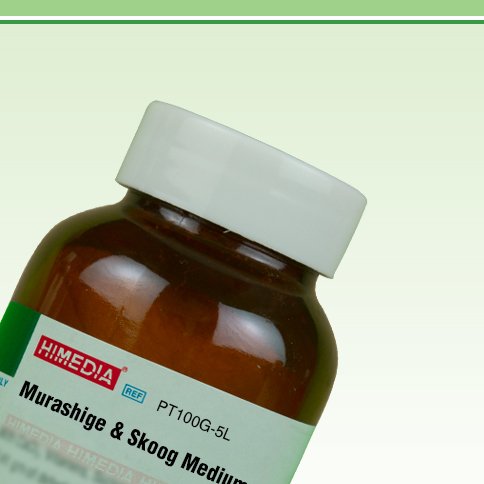 5100-5 l hranjivog medija za MURASHIGU i skugu s 52, vitaminima, saharozom i Claribelom, 5 l