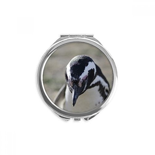 Slatki pingvini znanstvena slika prirode ručno kompaktno ogledalo okruglo prijenosno Džepno staklo