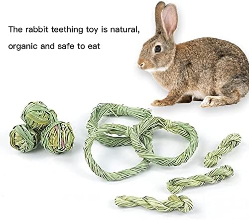 6 PCS Molarne igračke za zečeve igračke za male životinjske igračke za činčicu i gerbils zamorca zamorca