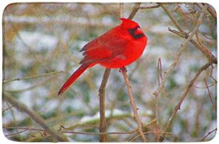 Dekor kupaonice od 16 do 24 prostirka za kupanje šareni kardinal životinja na grani crvena ptičja grana ugodna prostirka