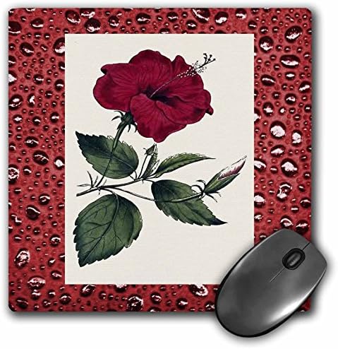 3-inčna podloga za miš veličine 8-inčnih 8-inčnih 0,25 inča, crvena ruža na crvenim kišnim kapima