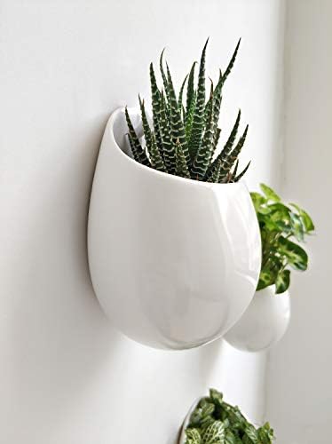 MKONO 4 -inčni zidni plastitelj Okrugla keramička viseća biljna biljka Dekorativni cvjetni vaza sočna lonaca za zatvorene