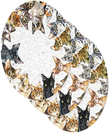Alaza mačke uzgajaju razne akvarelne mačiće prirodna spužva kuhinja celuloze za jelo za pranje kupaonice i čišćenja kućanstva,